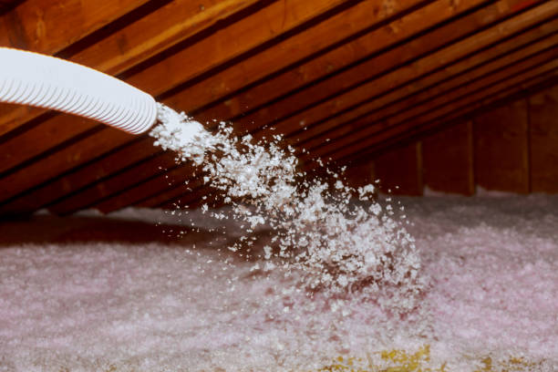 Best Residential Insulation in Edgerton, MN