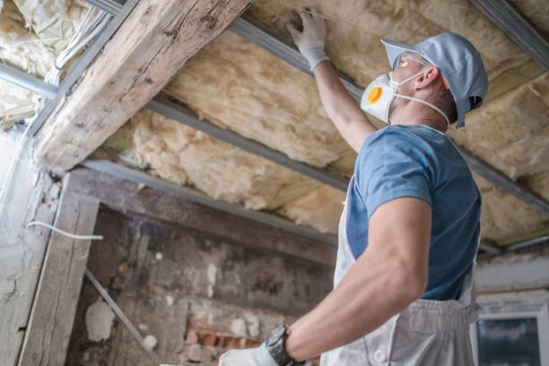 Best Commercial Insulation in Edgerton, MN