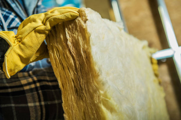 Best Insulation Installation Services in Edgerton, MN