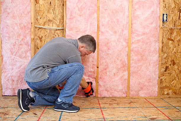 Best Insulation Maintenance and Repair in Edgerton, MN